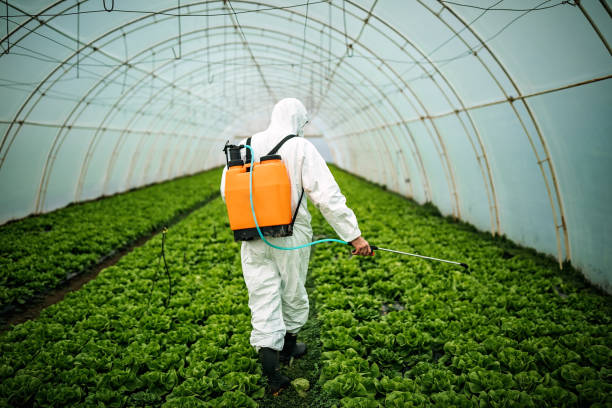 Reliable Richfield, WI Pest Control Solutions