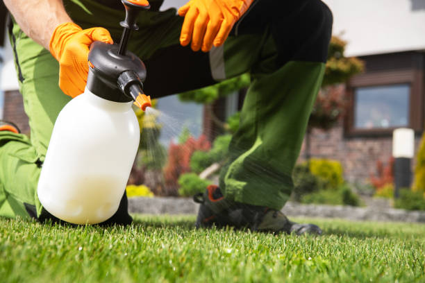 Best Affordable Pest Control Services  in Richfield, WI