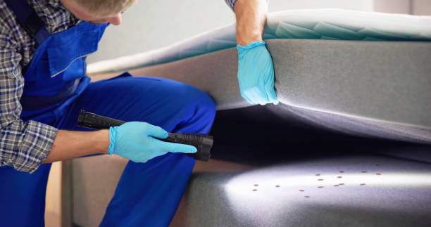 Best Local Pest Control Services  in Richfield, WI