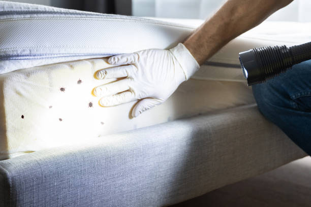Best Emergency Pest Control  in Richfield, WI