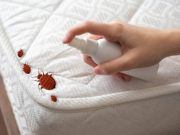 Best Flea Control Services  in Richfield, WI