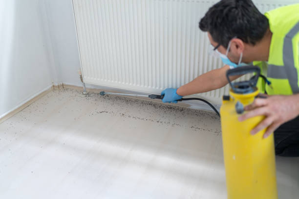 Best Pest Control for Restaurants  in Richfield, WI