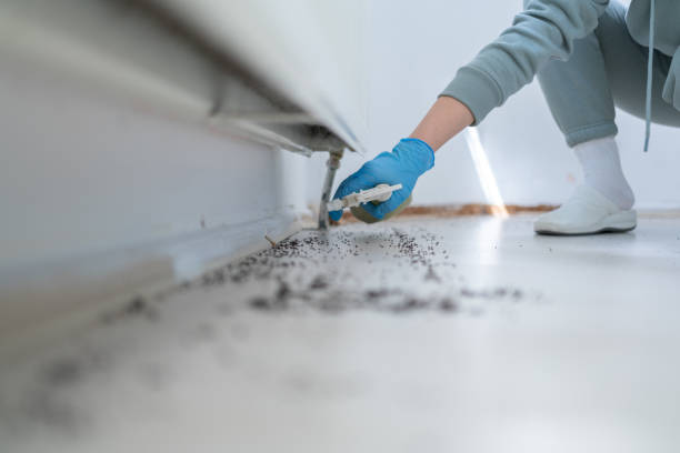 Pest Control for Restaurants in Richfield, WI